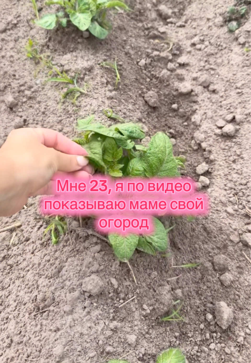 @Masha_Enina2003