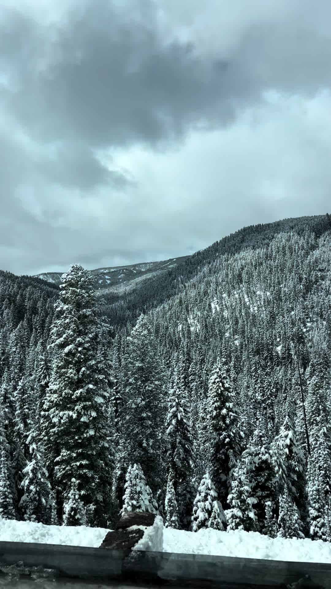 @She She 🏔️
