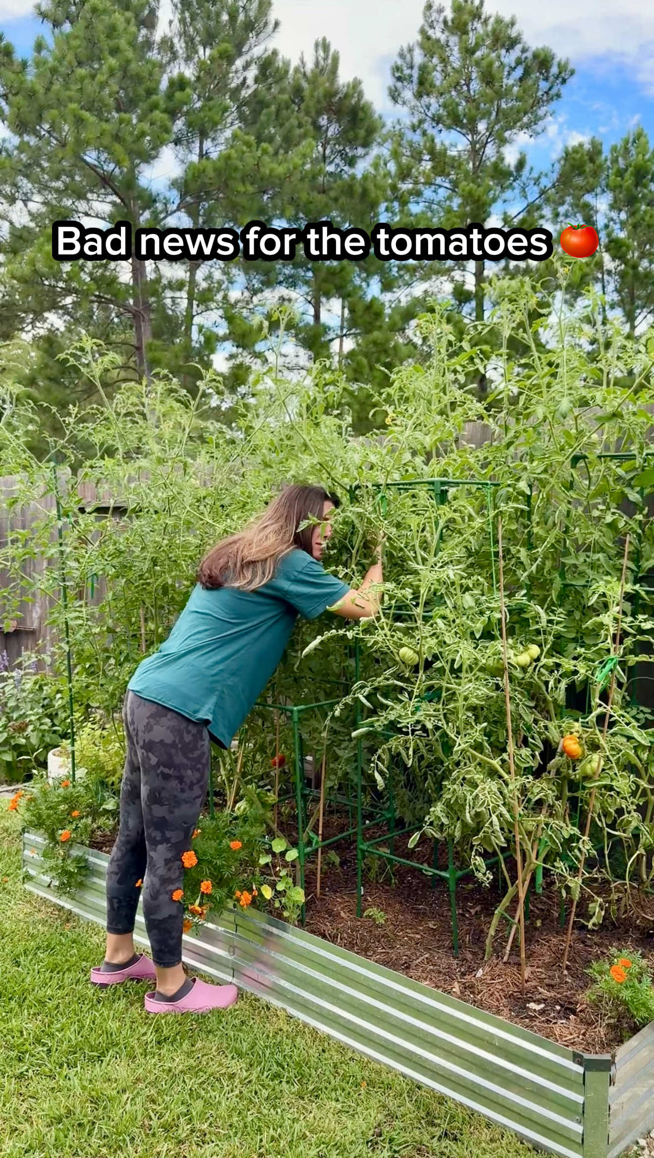 @Sara&rsquo;s Bites 🌱
