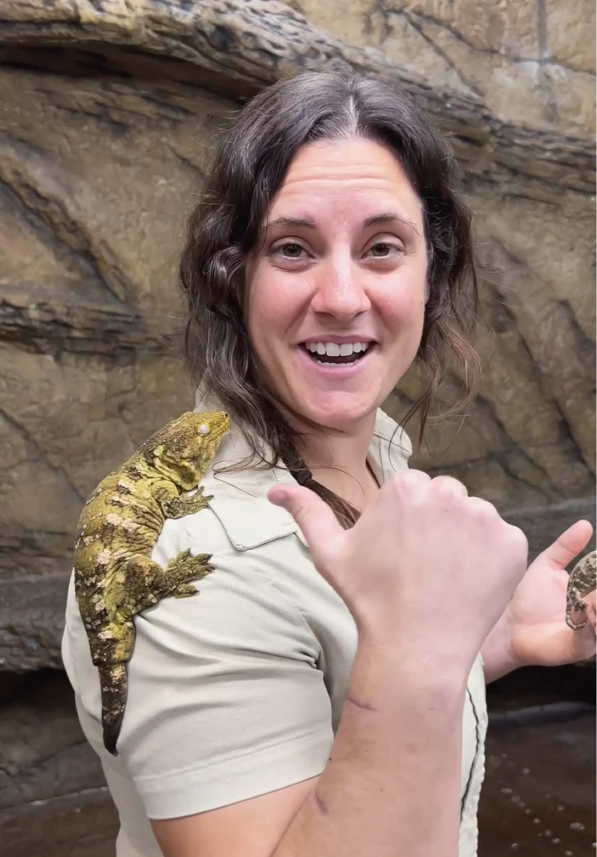 @The Reptile Zoo