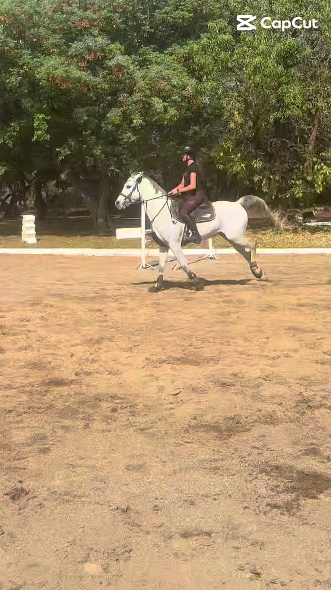 @Jay equestrian