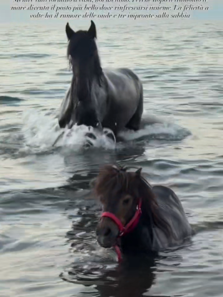 @streamhorse
