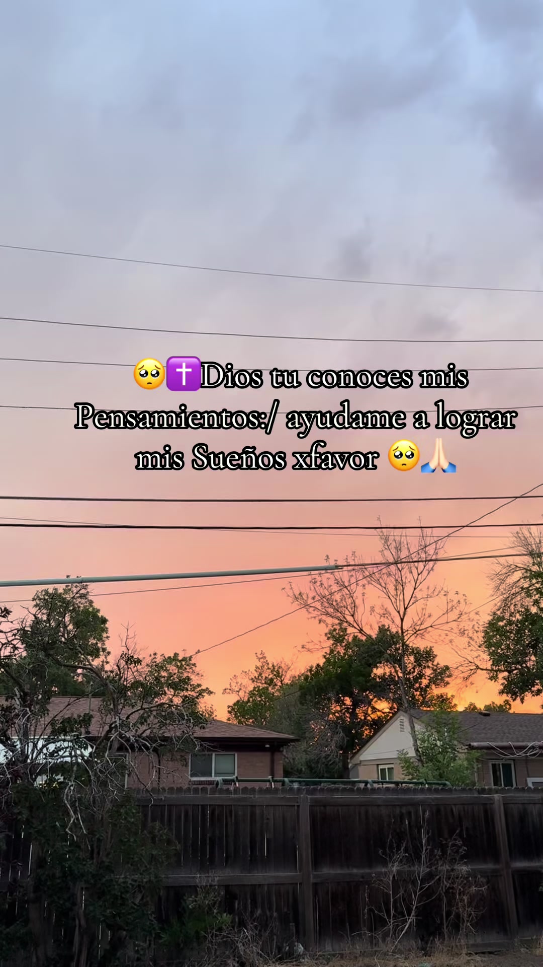 @Pavon ( 10 ) Funez🐧🐣