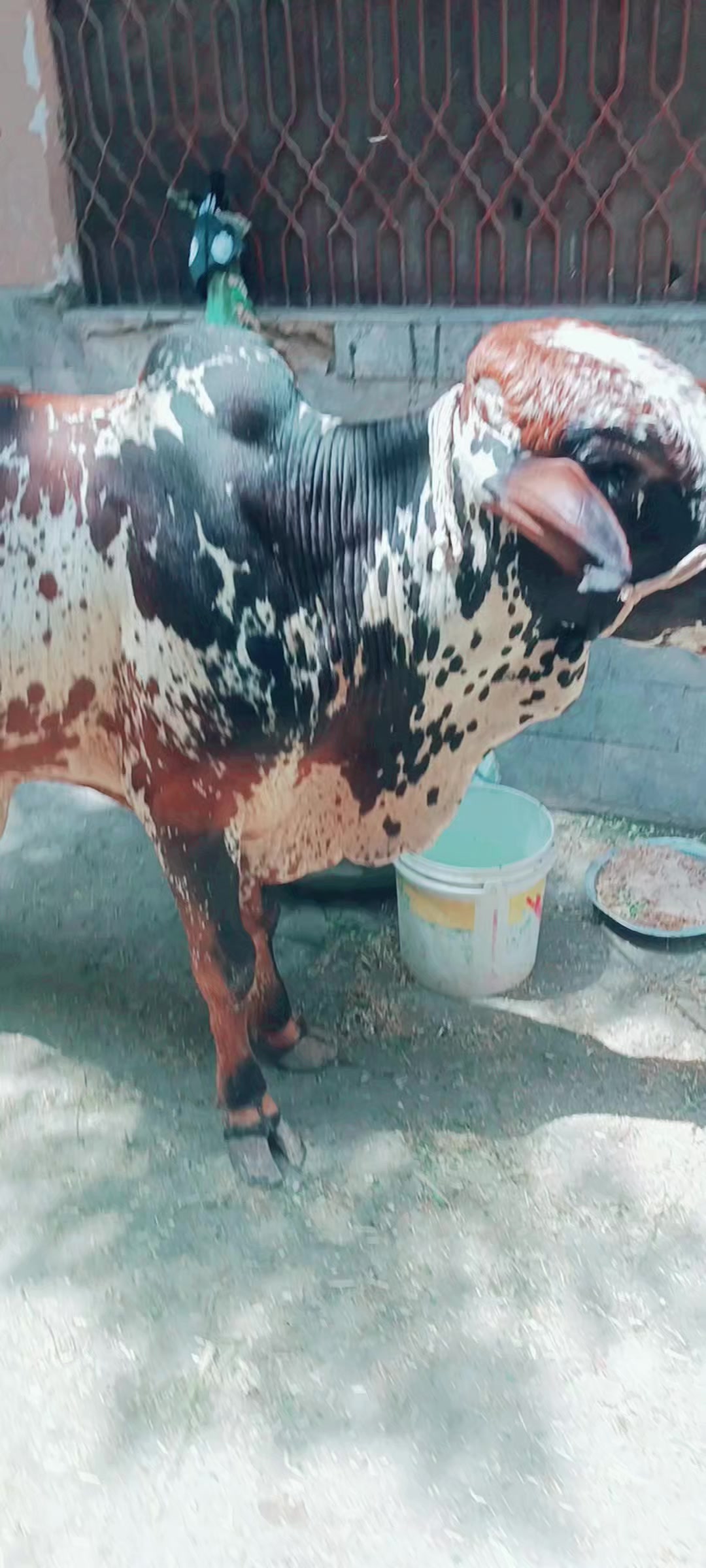 @Minhaj Khan