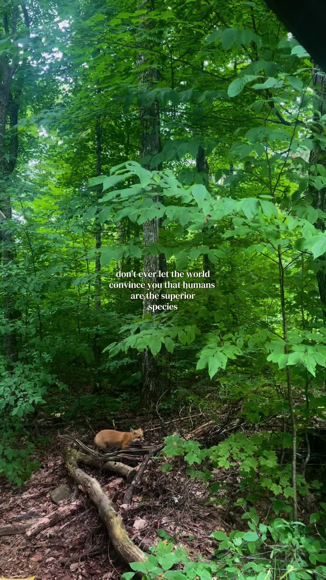 @earthly conservations 🌎🌺