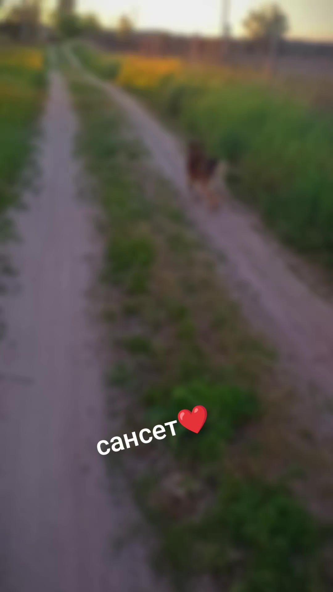 @ксюшик💙💛