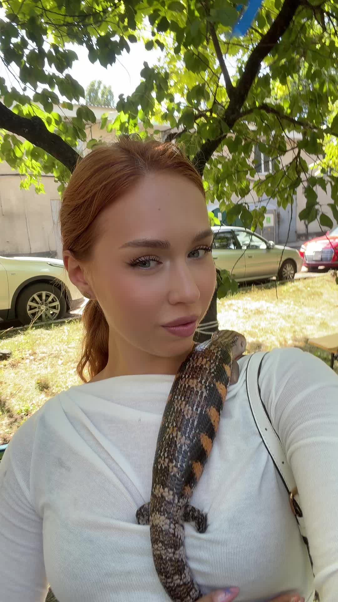 @Gonceatea