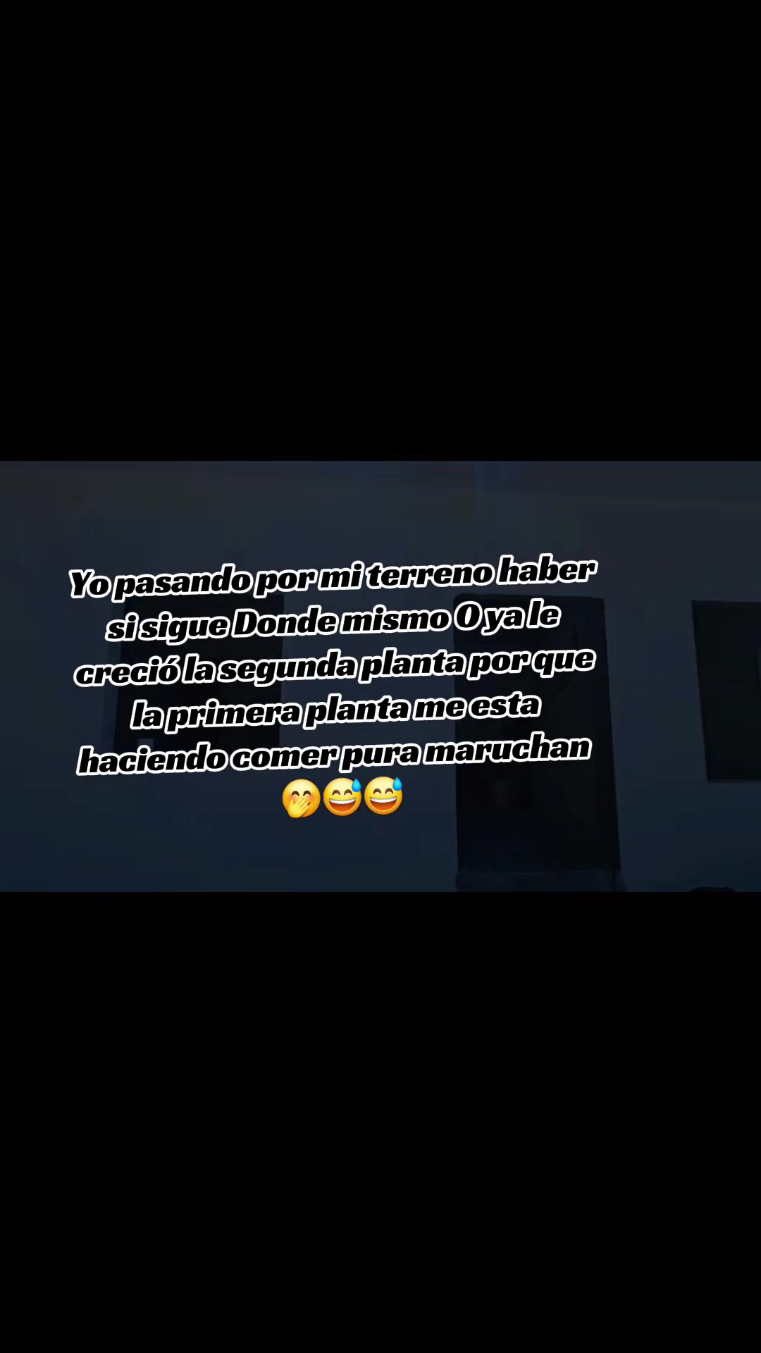 @Laysa
