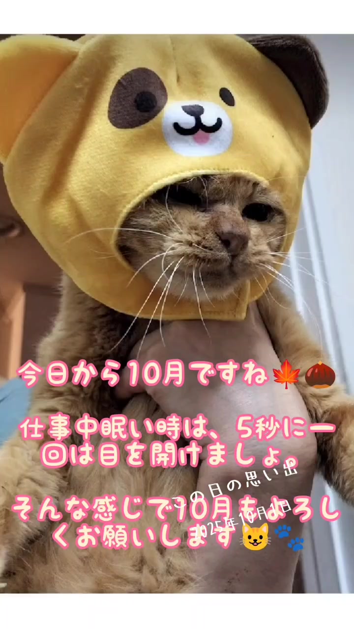 @あきの軍艦巻き😺 🐾 aki🐾