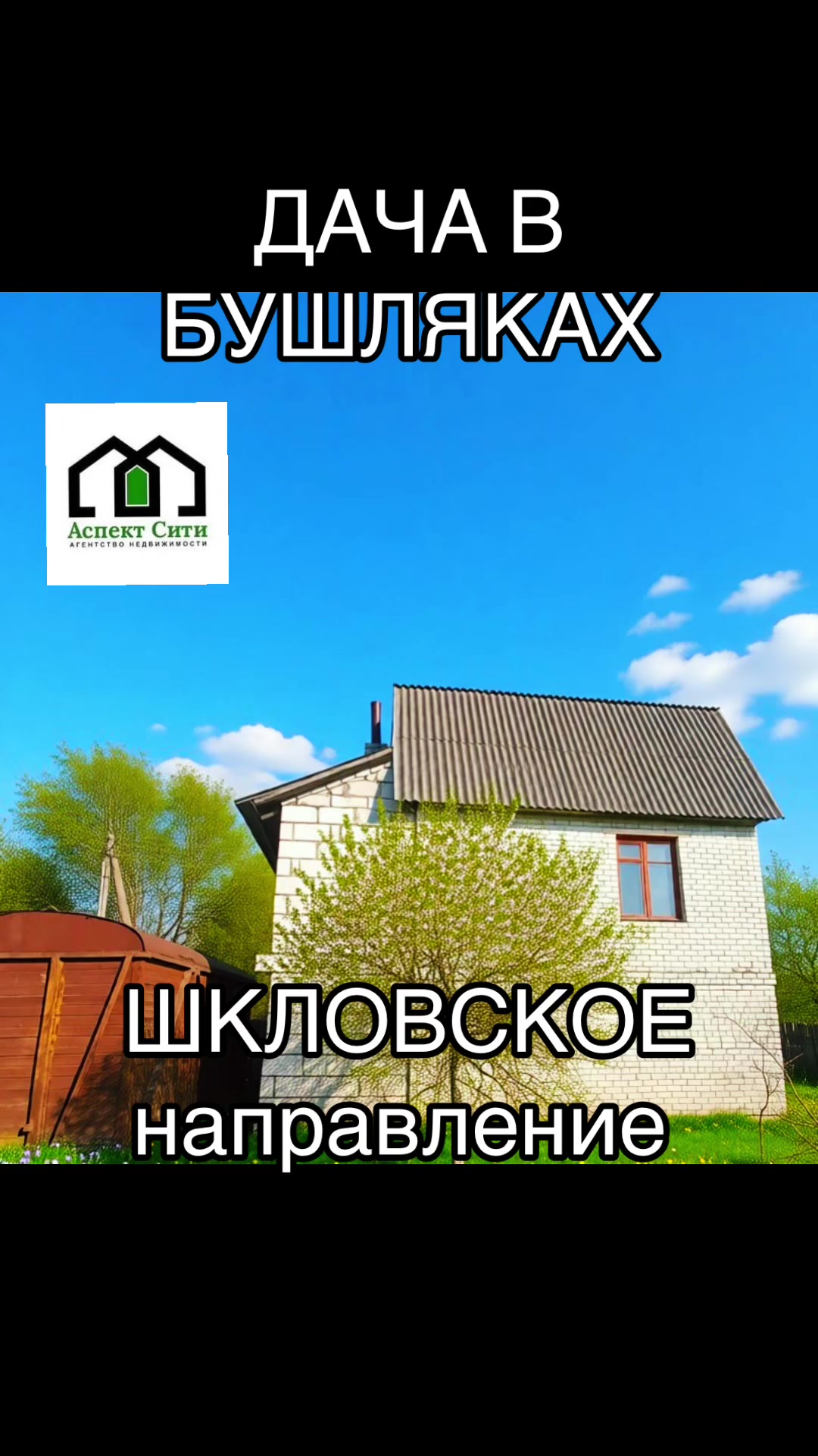 @beautifullife