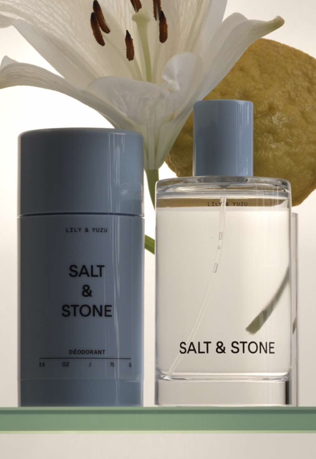 @SALT & STONE