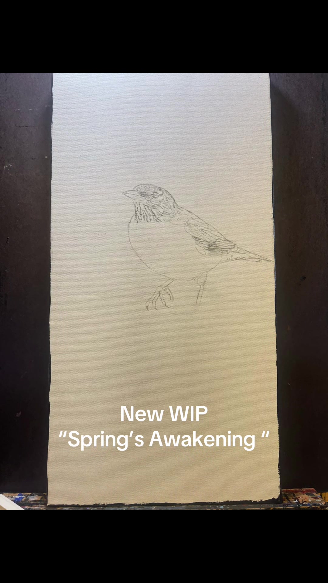 @Mystic MoonRaven Fine Art