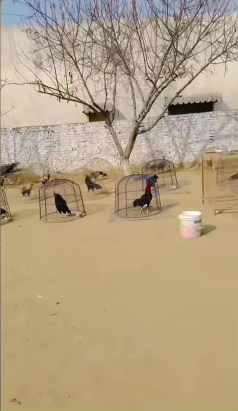 @علی