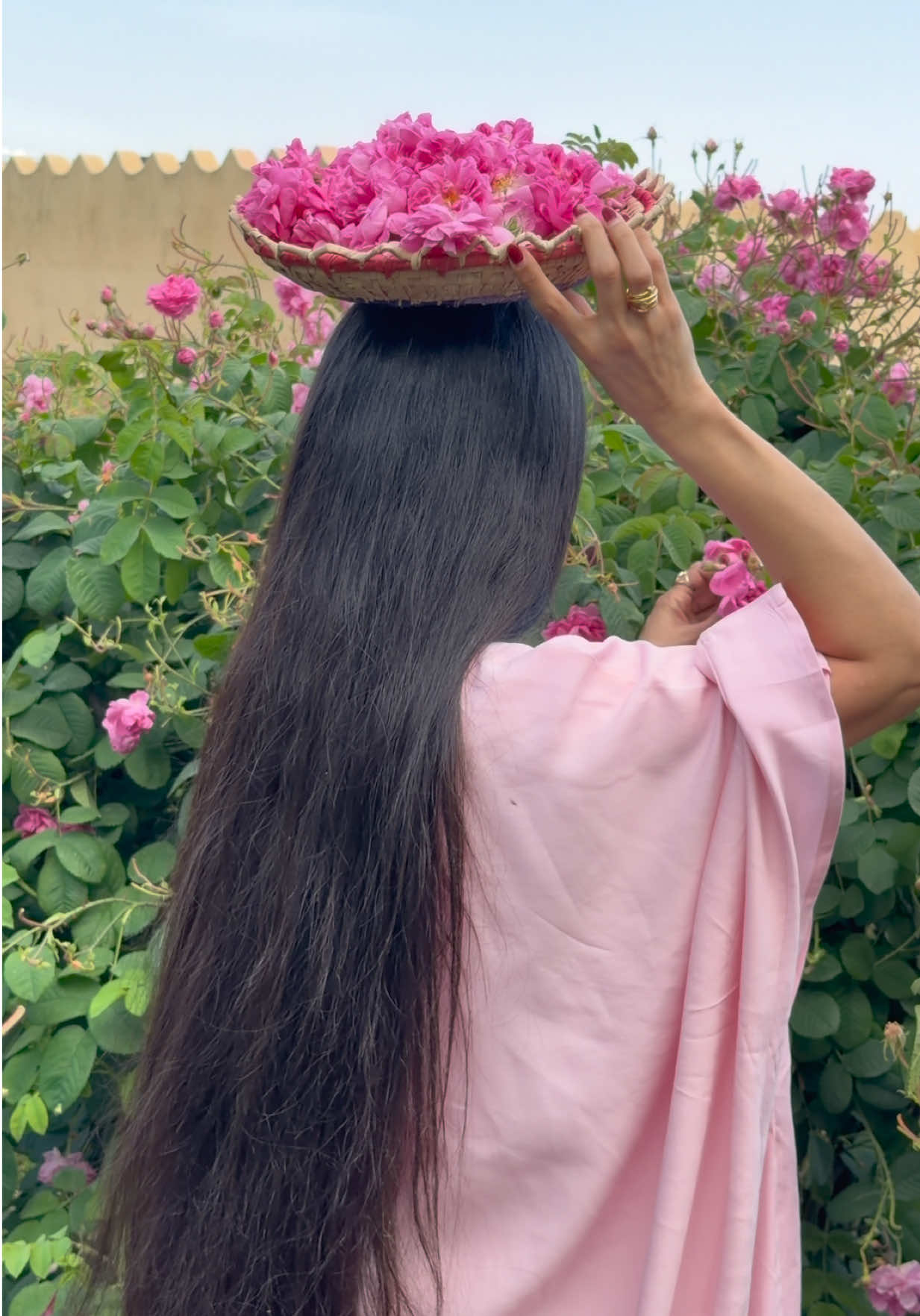 @Zainab Al-Eqabi زينب العقابي