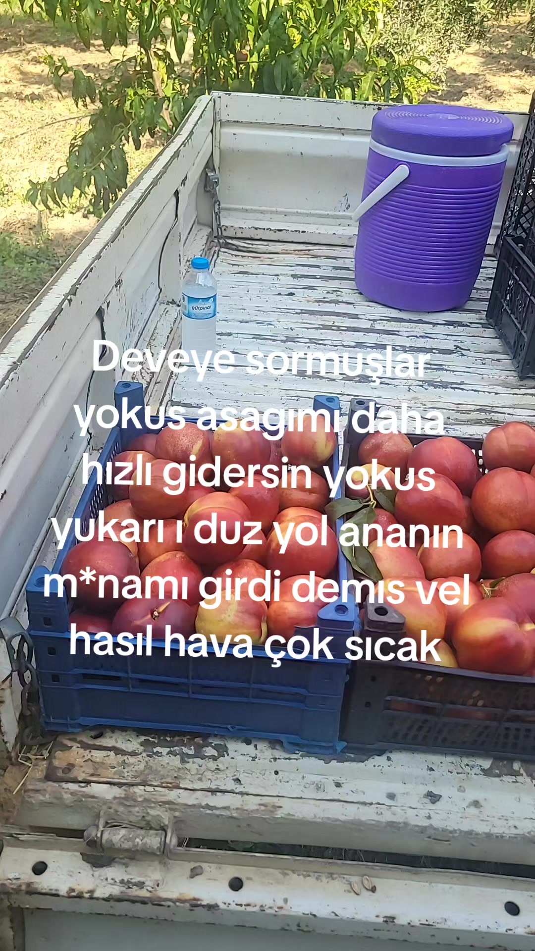 @🇹🇷🤘🇹🇷💛B&Ouml;RTE💙🇹🇷🤘🇹🇷