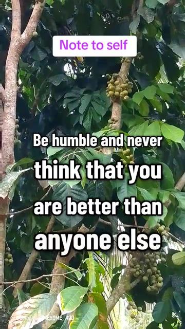 @Evelyn Cornetes
