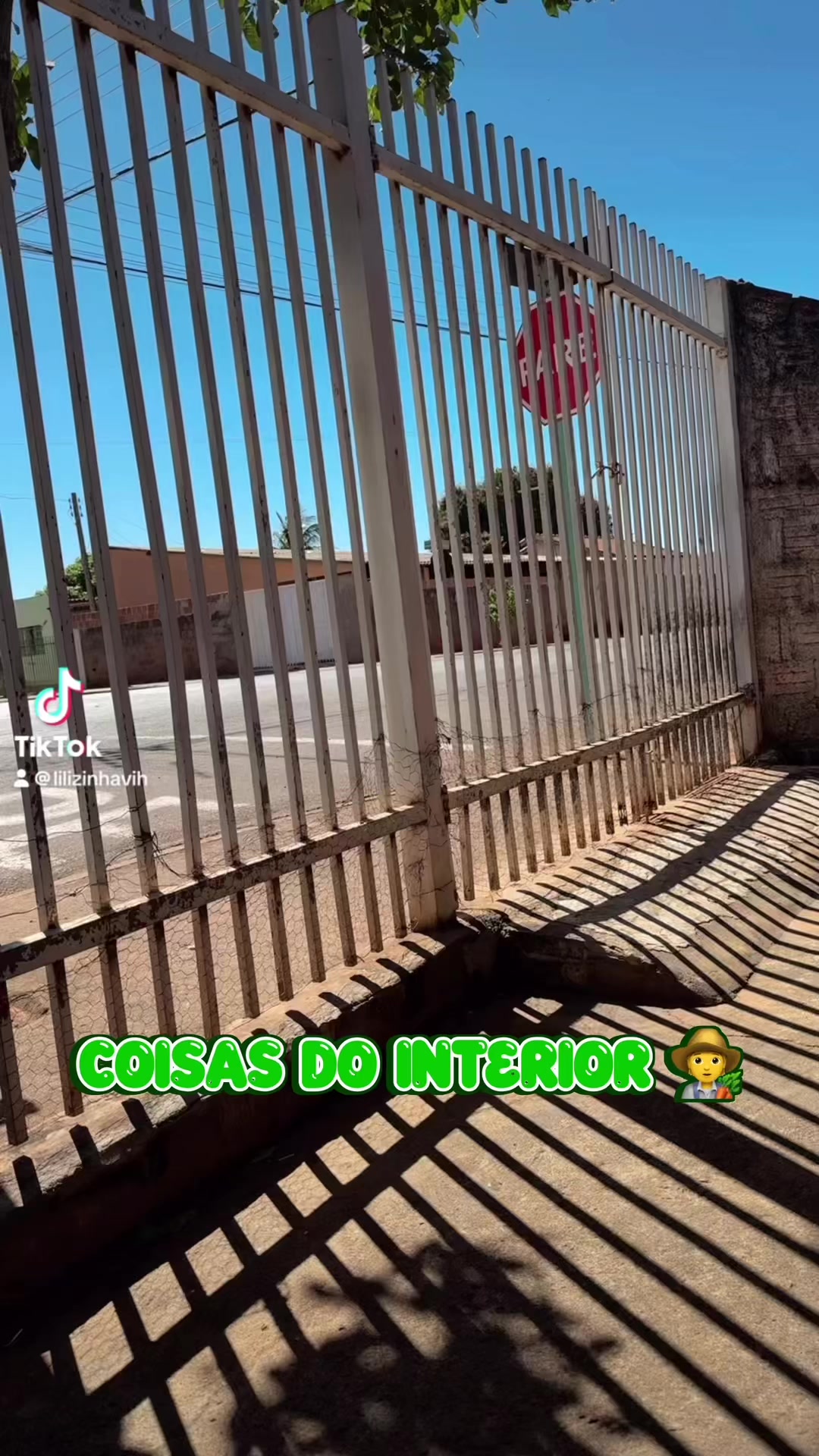 @Lilizinha.ofc