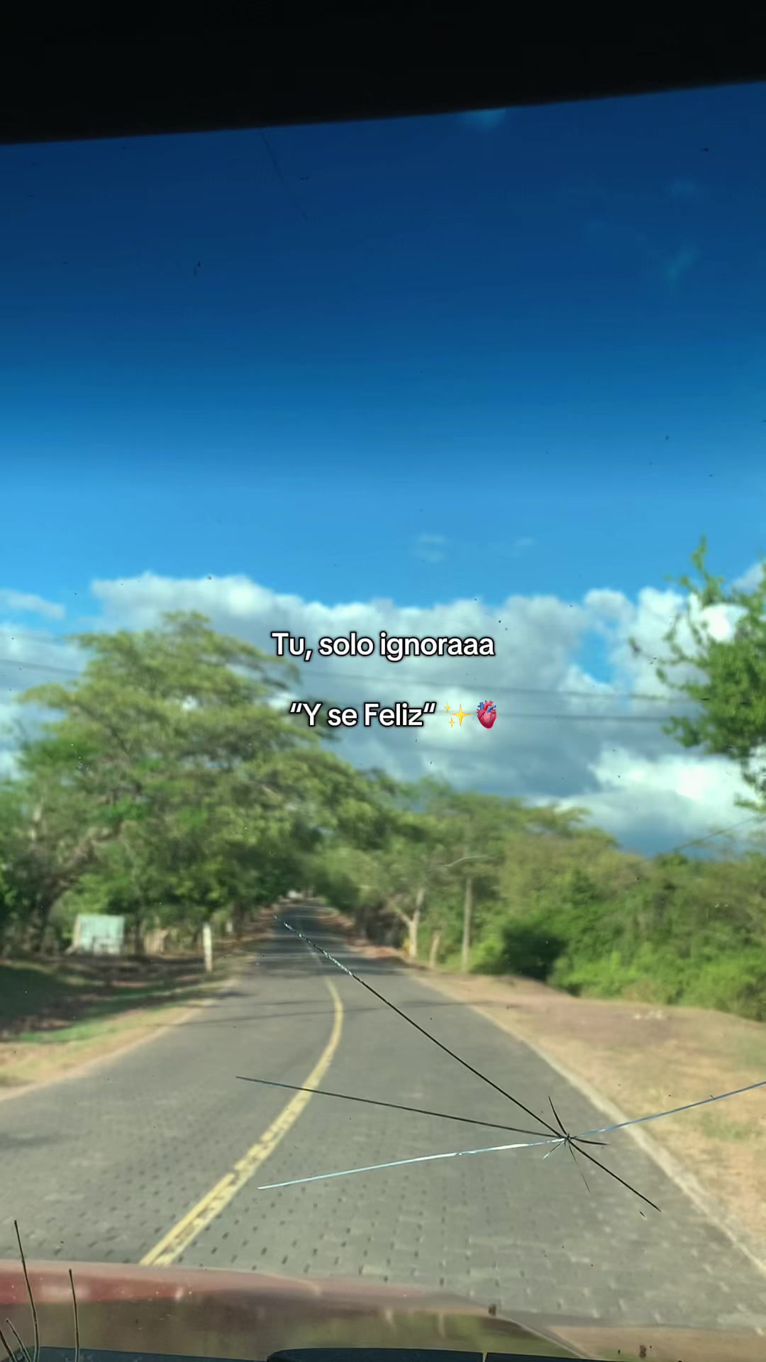 @Vane Urvina