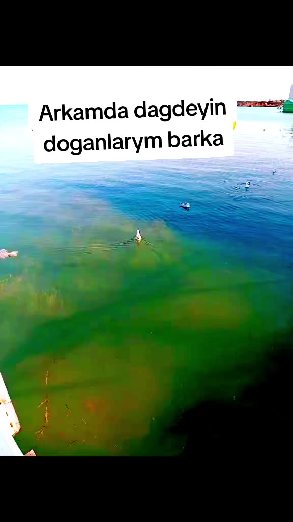@𝒮 𝑒 𝓎 𝒹 𝒶