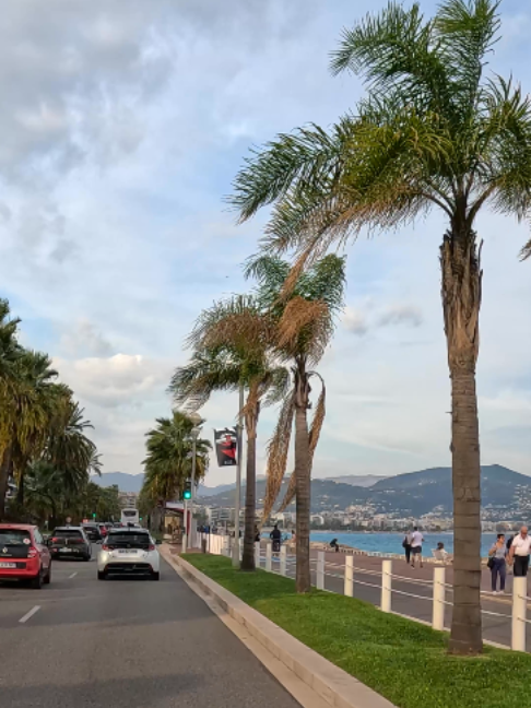 @๐ Sigis Travel Videos โจ