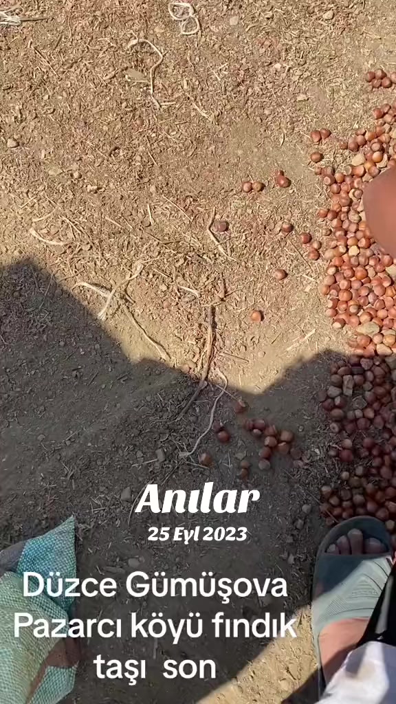 @Turan Çiçek