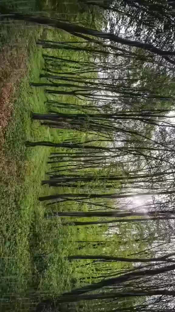 @Olha Balandiukh