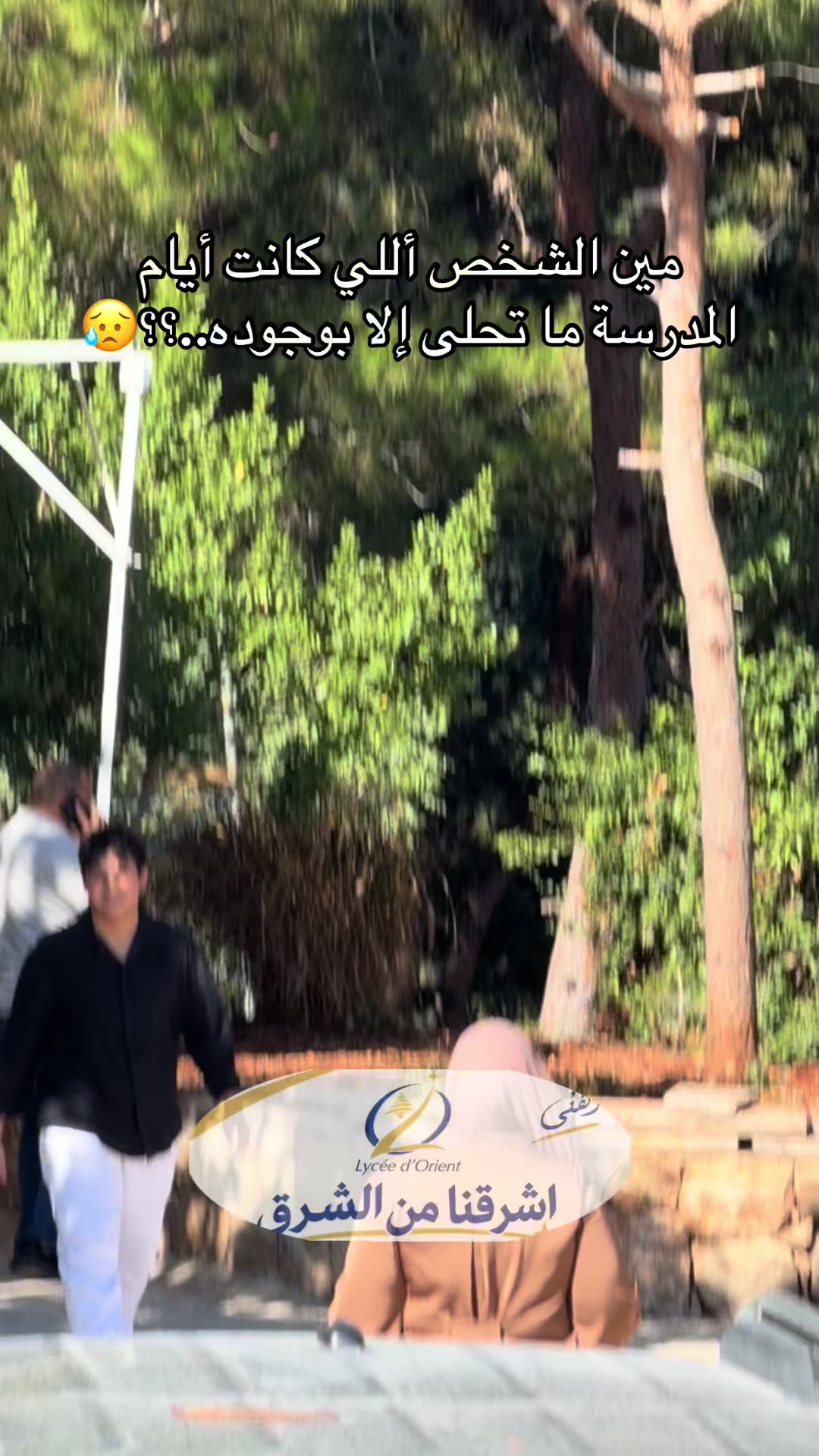 @Alaa youssef