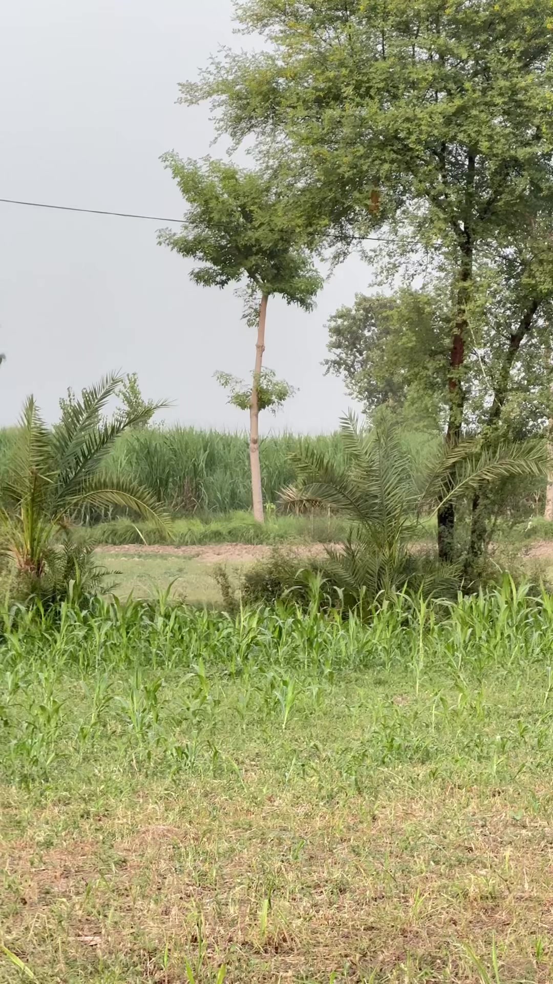 @M.HaSSaN 🇵🇰
