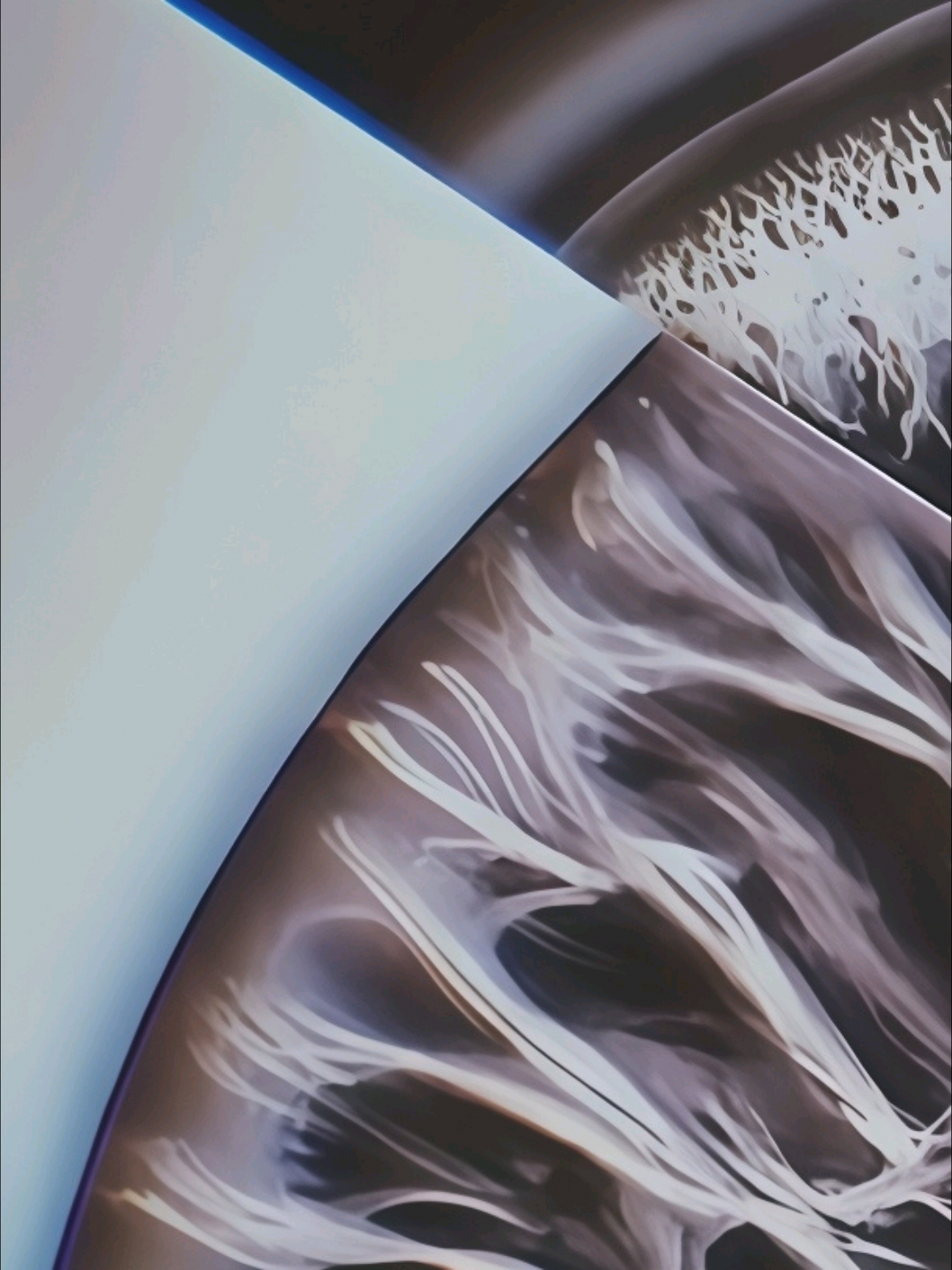 @𝐌𝐨𝐢𝐧𝐧.