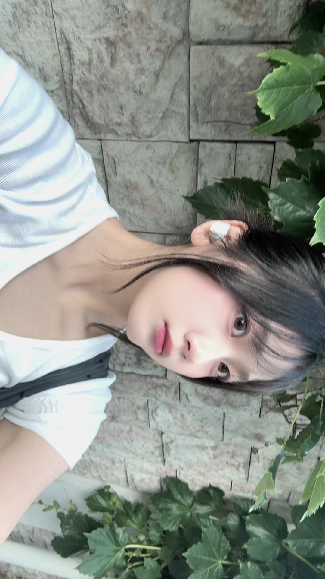 @immimic