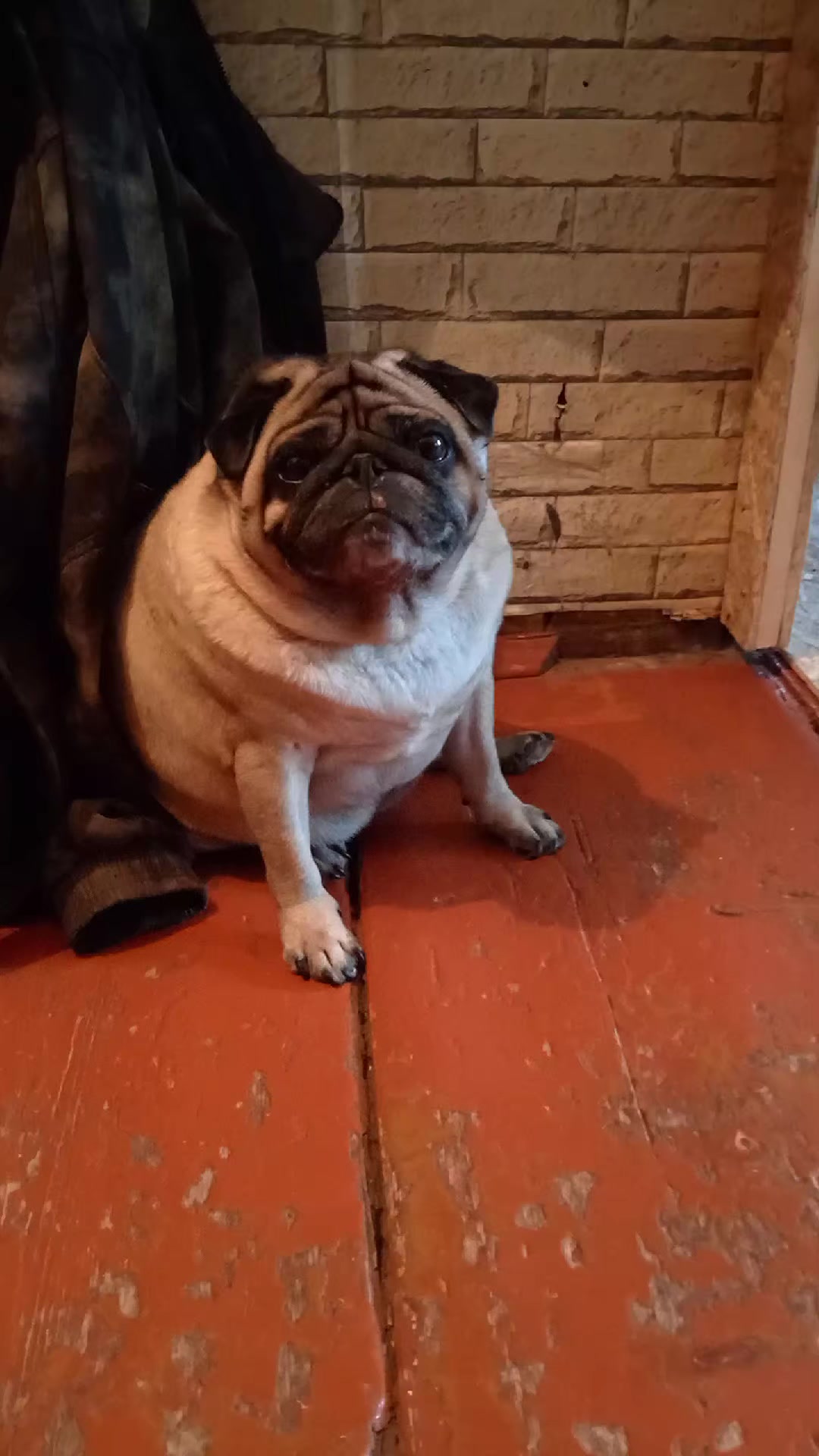 @tg: SamMops76