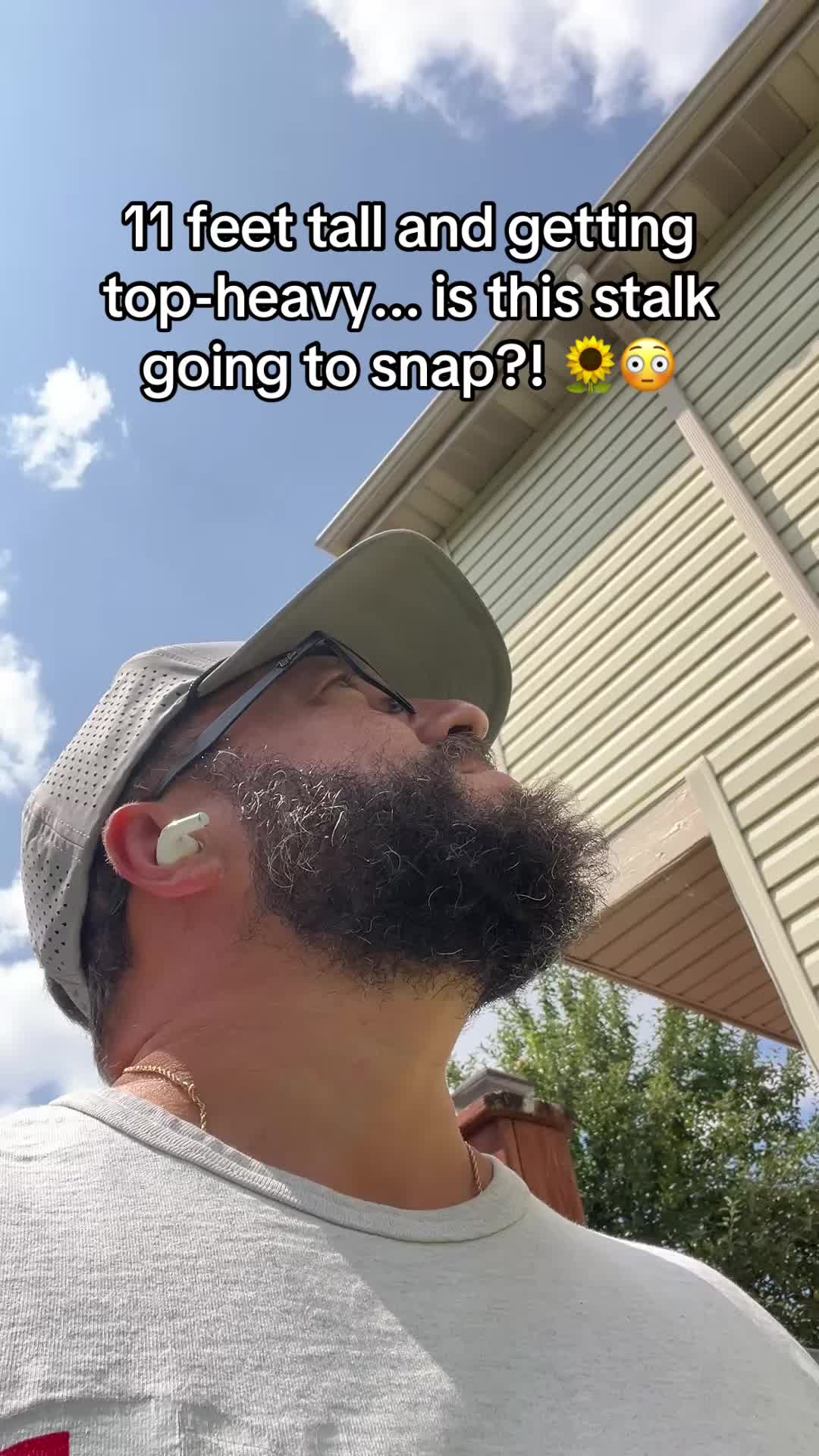 @TheUnconventionalGardener