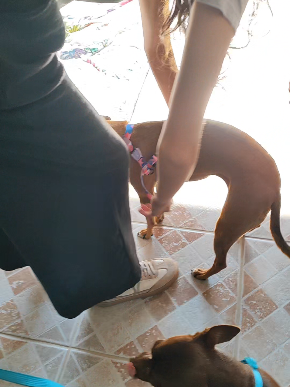 @Belinha e tiamara