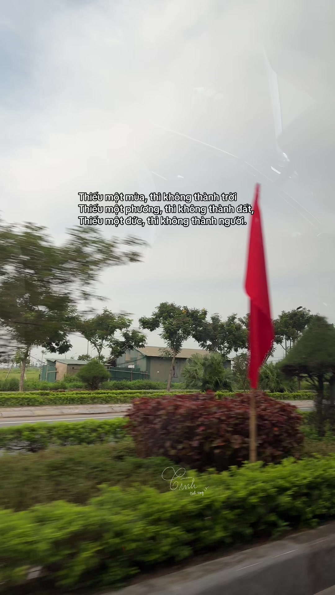 @Reels của Tình 🫧
