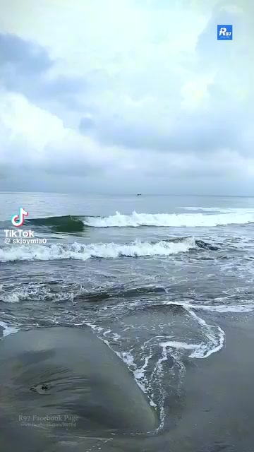 @নিঝুম তারা