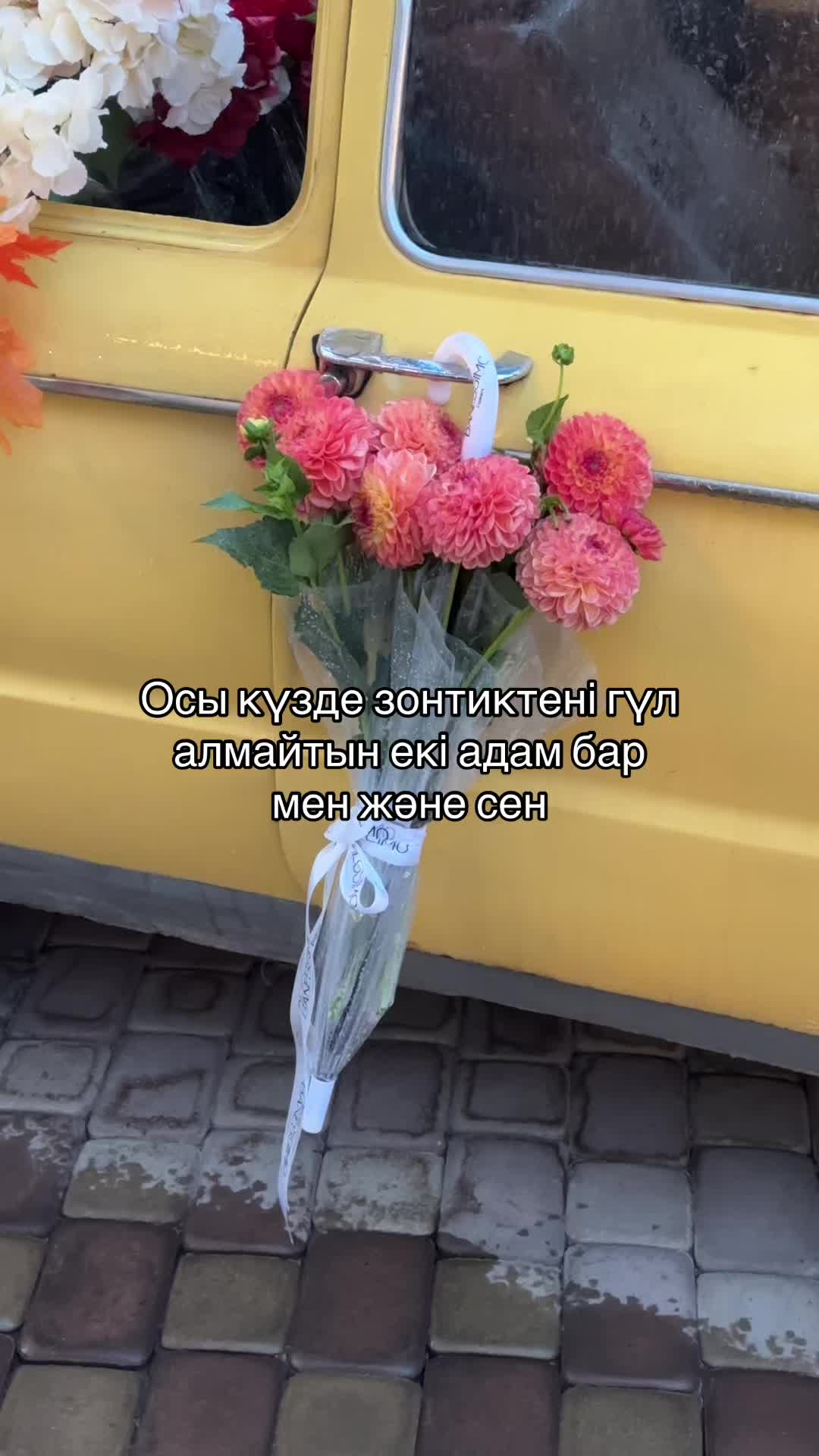 @banessimo