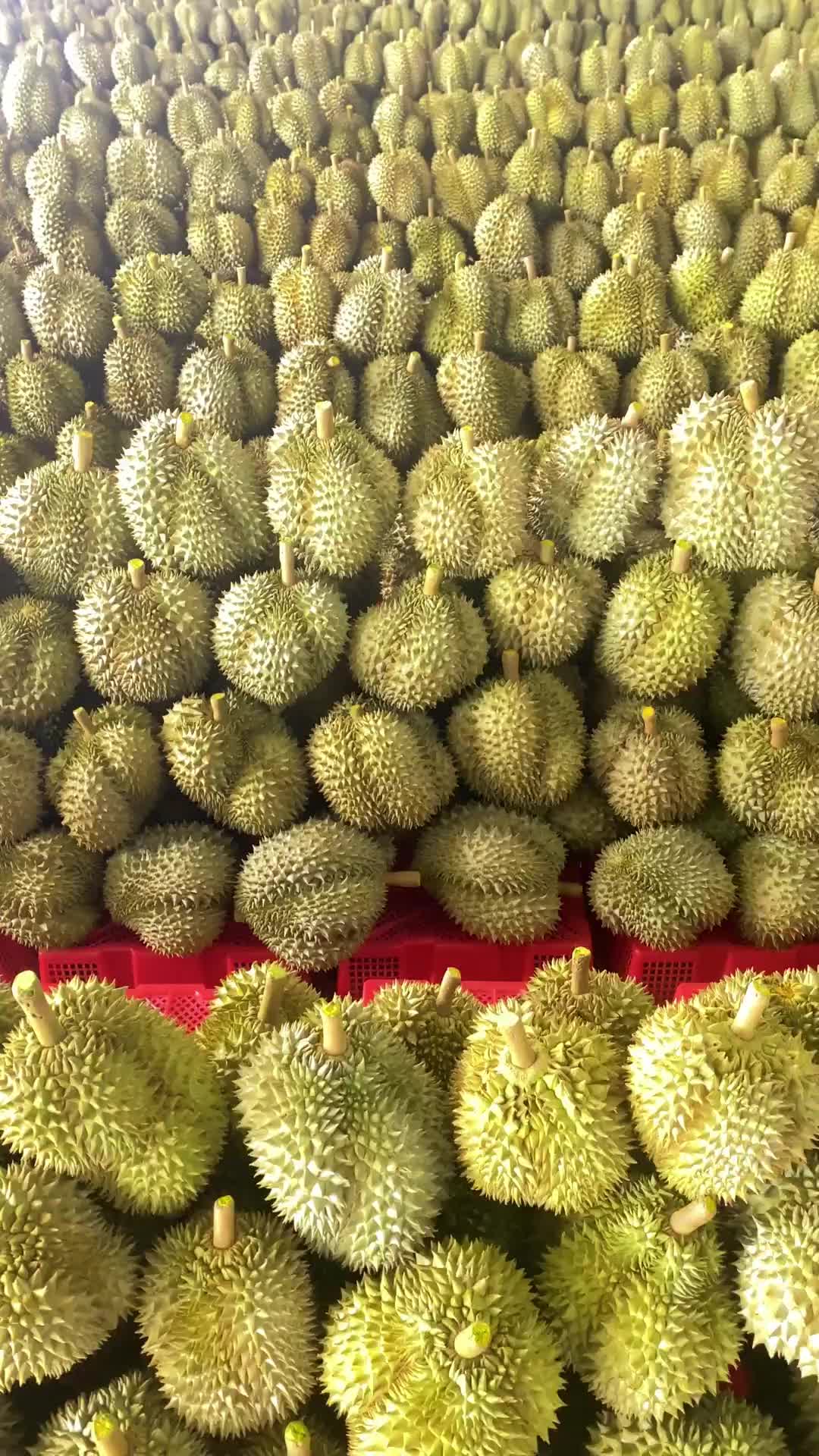 @水果鮮批