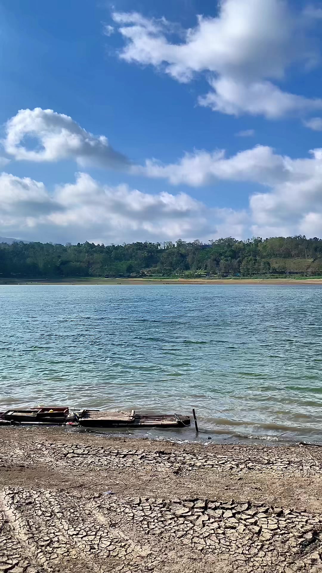 @MAFIA FISHING