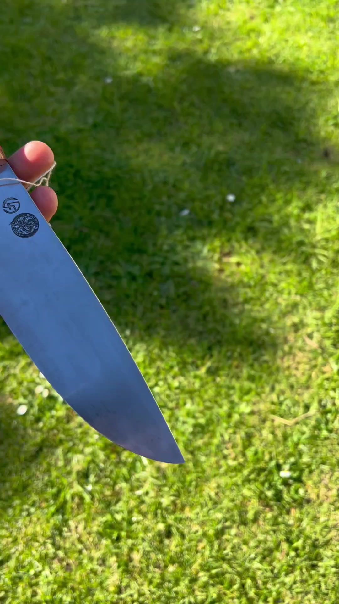 @Black_fish_blades