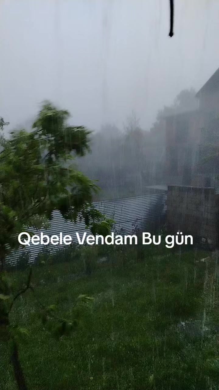 @Qebele  Vendam.036