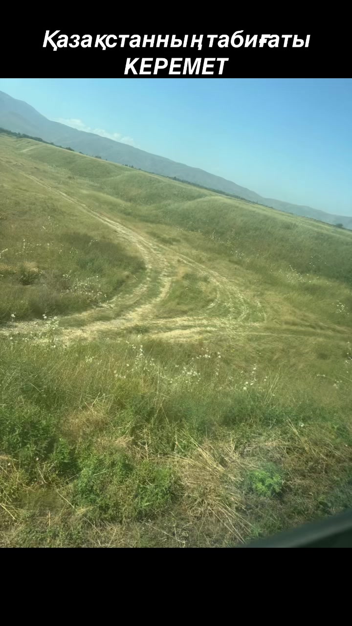 @Р.И.М