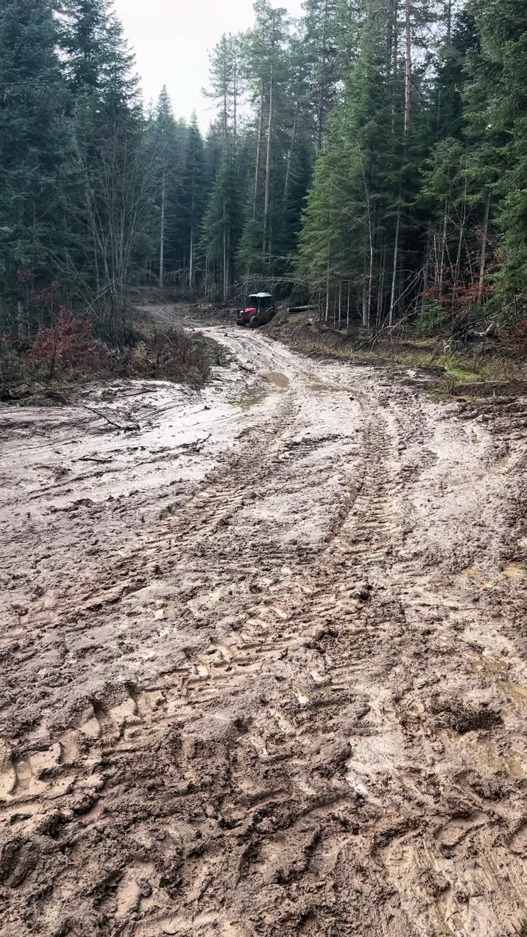 @Murat Hodancı