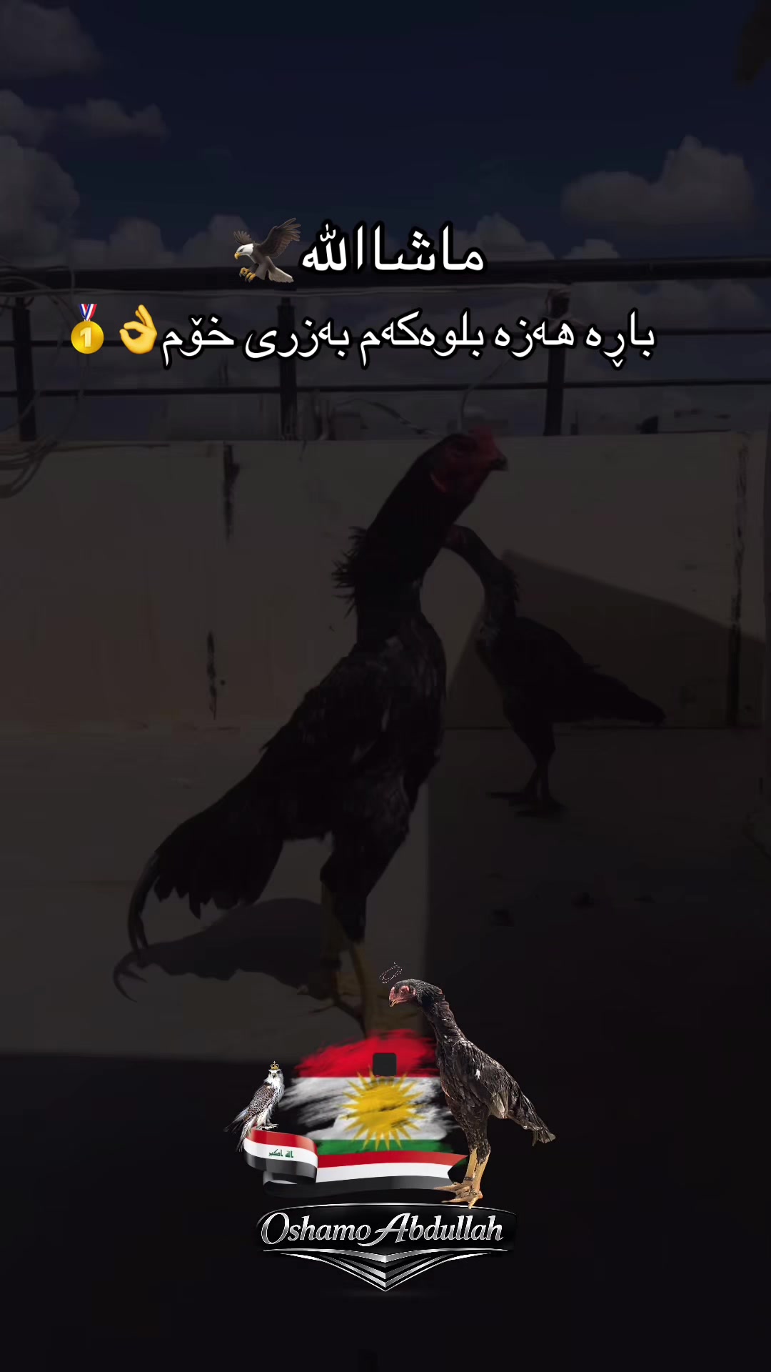 @ئۆشامۆ عبدالله🥇