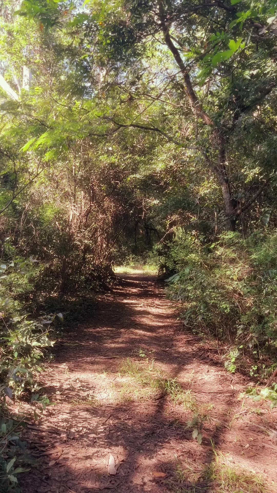 @Silent Refuges