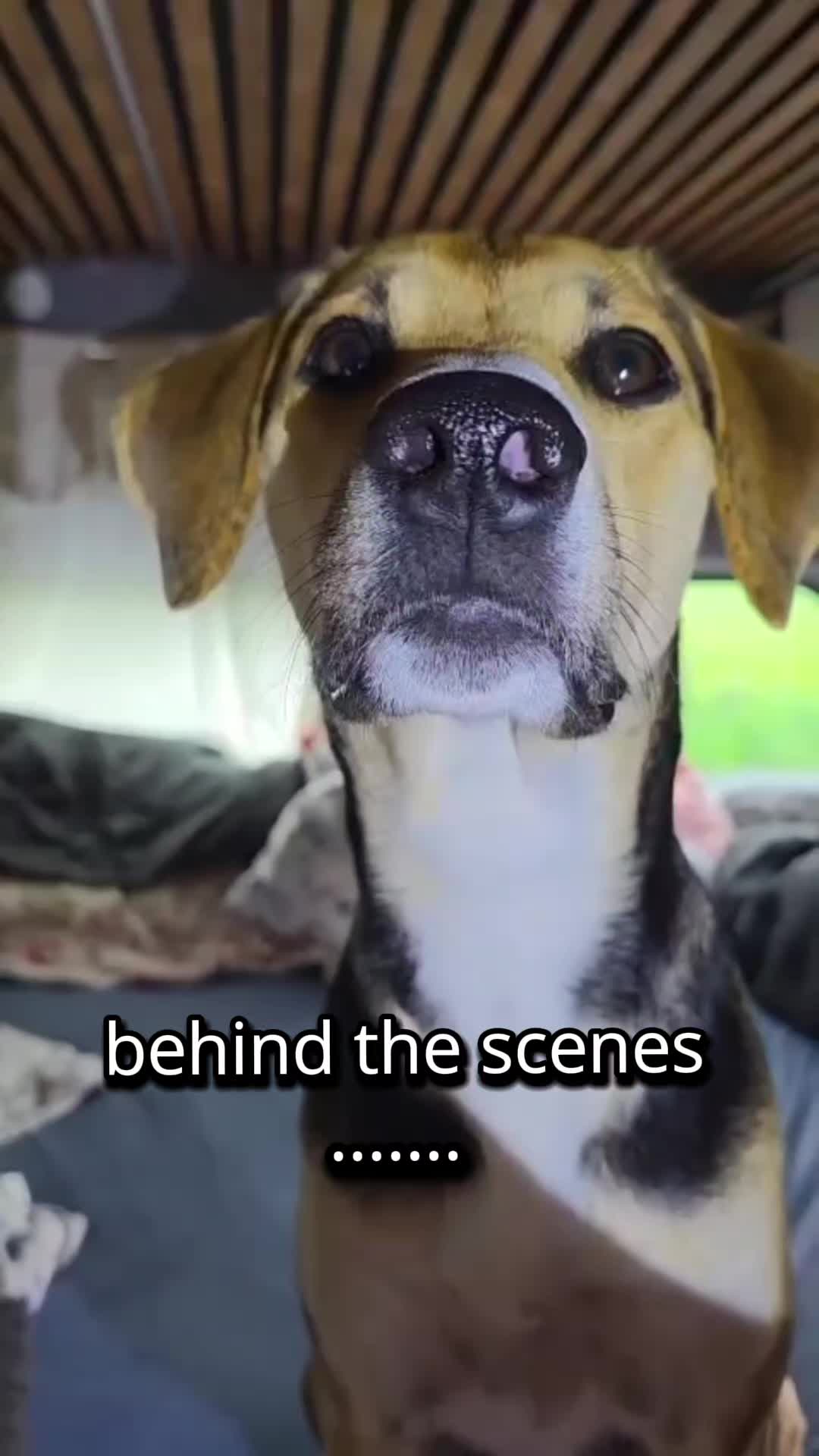 @ꪑⅈꪶꪖ ꪑꪮꪀᥴꫝꫝⅈᥴꫝⅈ