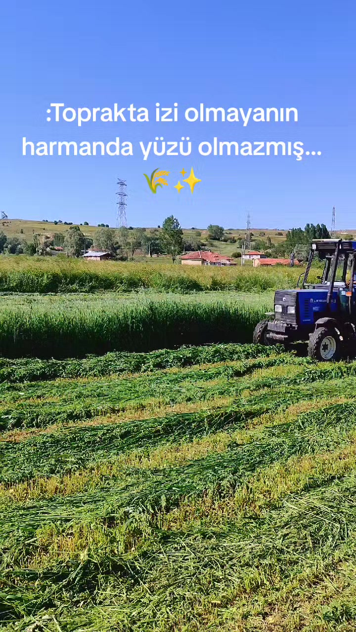 @Muzaffer Erden43
