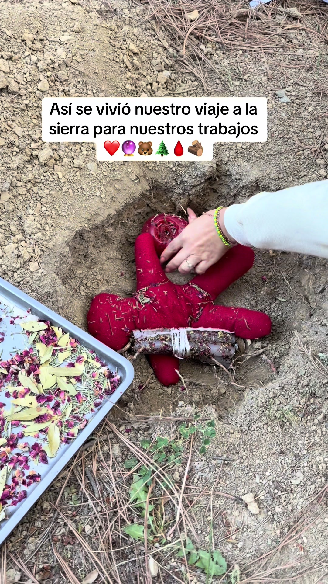 @Ana Suarez 300