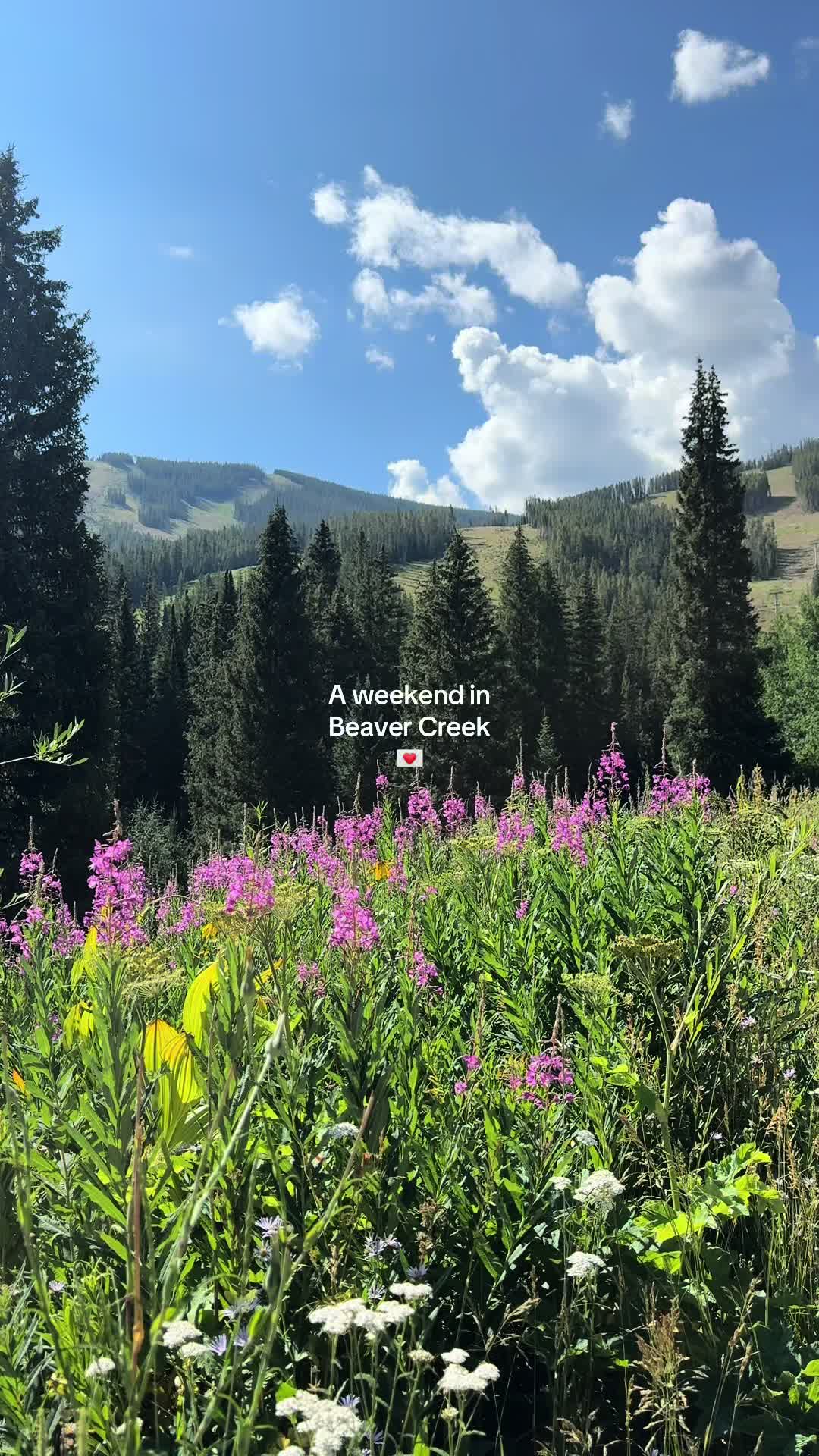 @Ariana ❋ often elsewhere