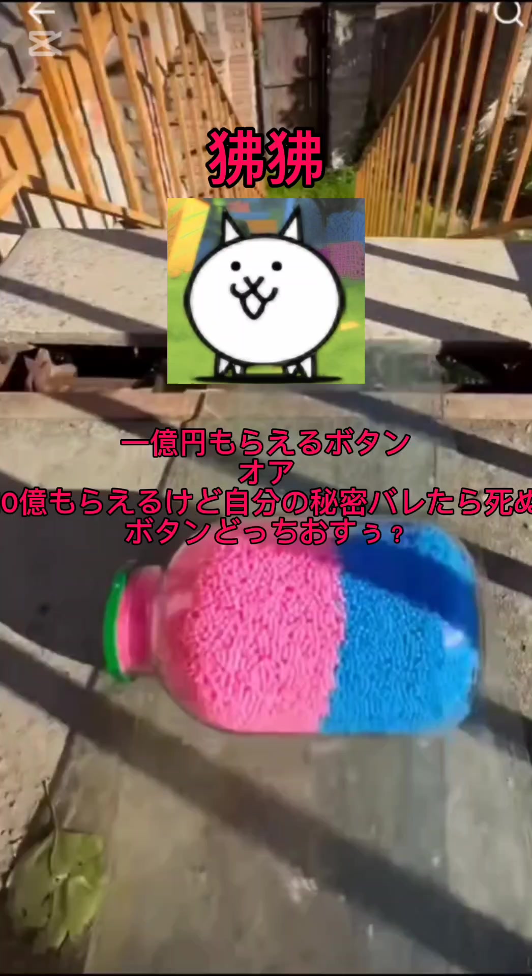 @にゃんこ大生徒