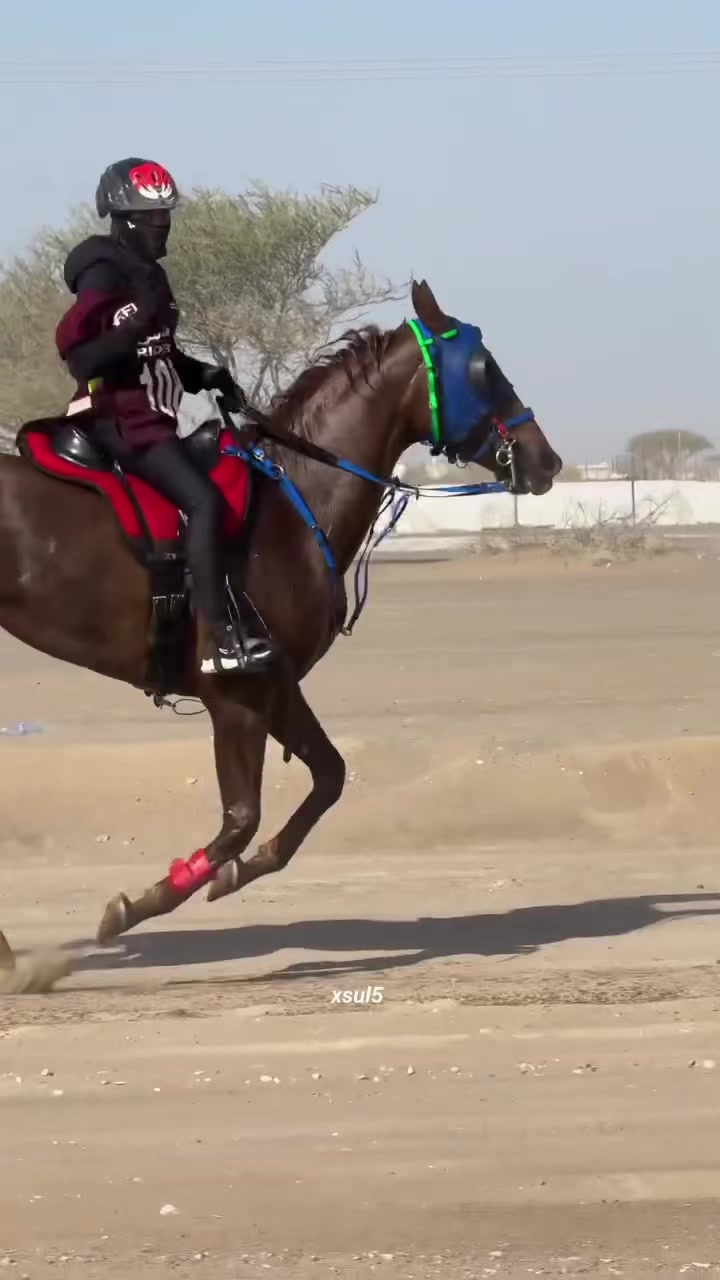 @Z8&rsquo;